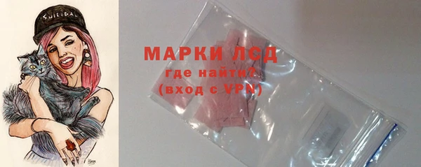 молекула духа Новозыбков