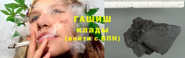 молекула духа Новозыбков
