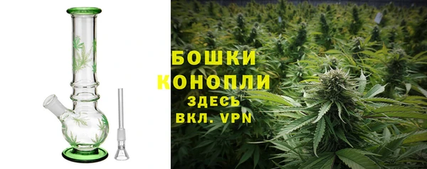 молекула духа Новозыбков