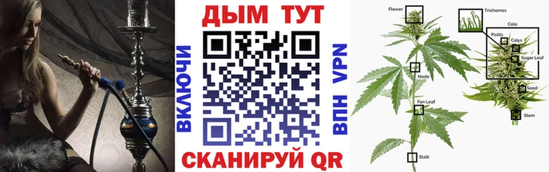 цена   Старый Крым  Марихуана семена 
